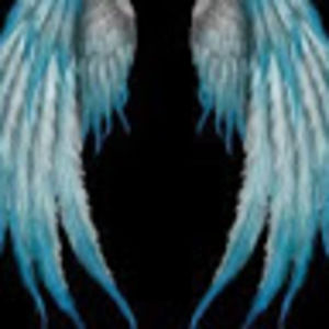 Meet your Posher, Essence